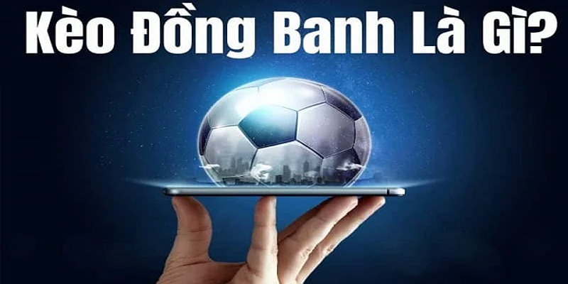 Kinh nghiệm chơi kèo Đồng Banh: Làm sao để đặt cược chính xác, dễ hiểu