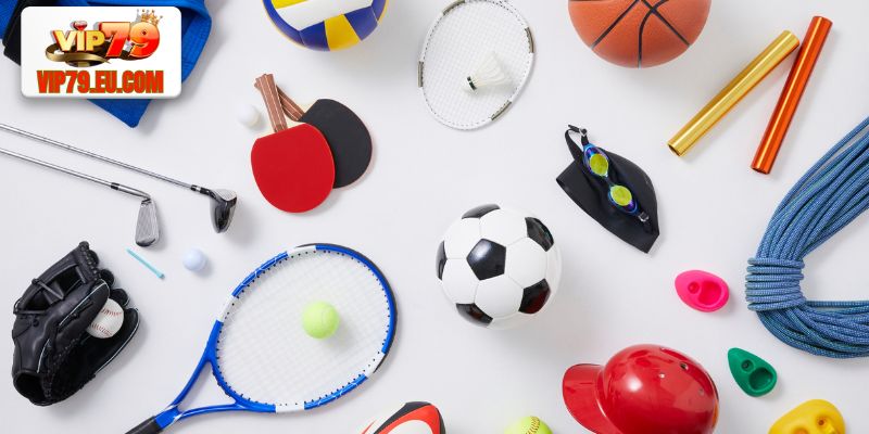 Một số sảnh cược thể thao Vip79 hot